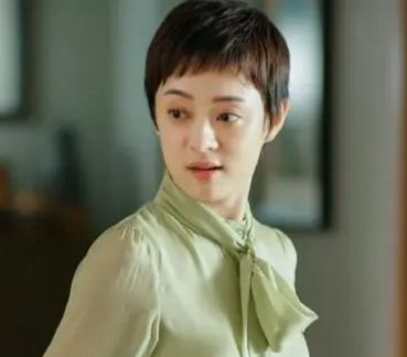 《小日子》是什么题材的电视剧？女一号是白玉兰视后_历史知识网